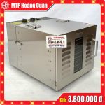 Tủ Sấy Hoa Quả, Sấy Thực Phẩm 10 Khay 6